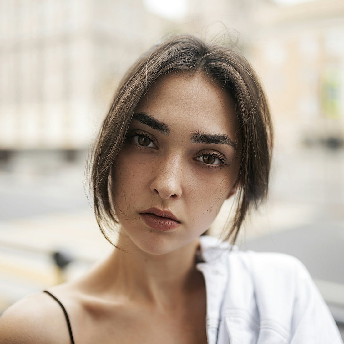 Organized refrigerator